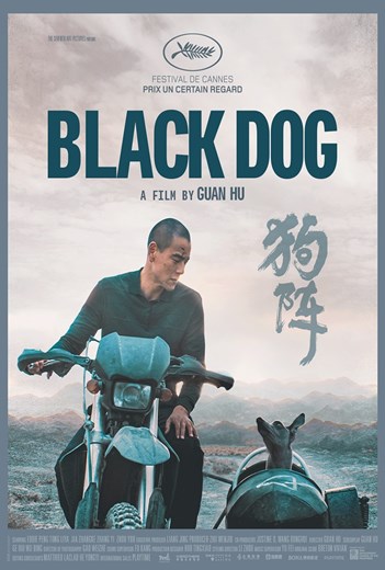 FDCP World Cinema - Black Dog
