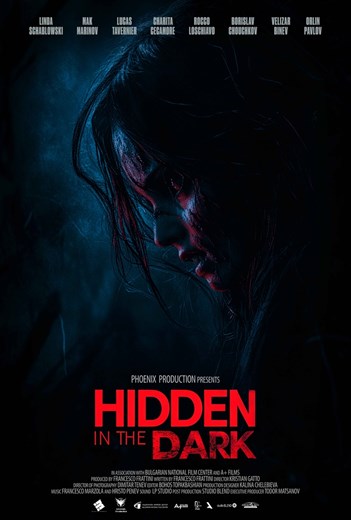Sine Sindak 6 - Hidden in the Dark