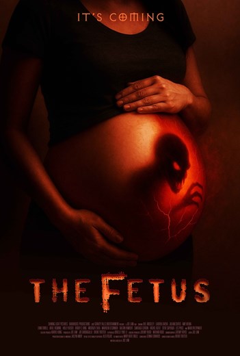 Sine Sindak 6 - The Fetus